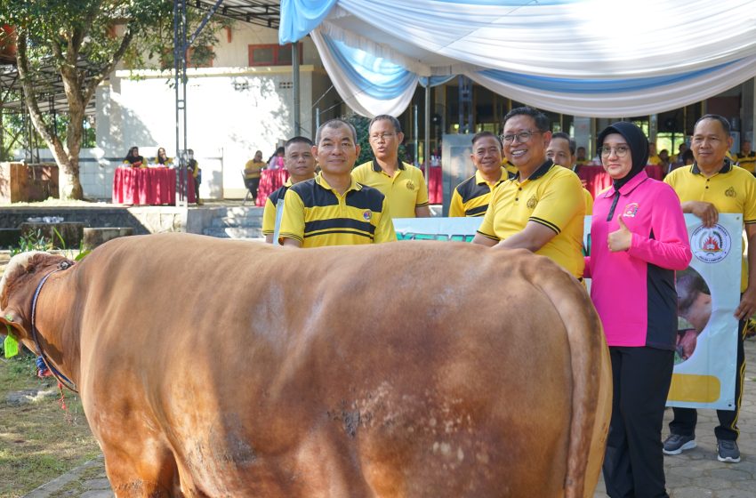  MOMENTUM IDUL ADHA 1447 H, SPN POLDA LAMPUNG TEBAR KEBAIKAN LEWAT PENYALURAN HEWAN QURBAN